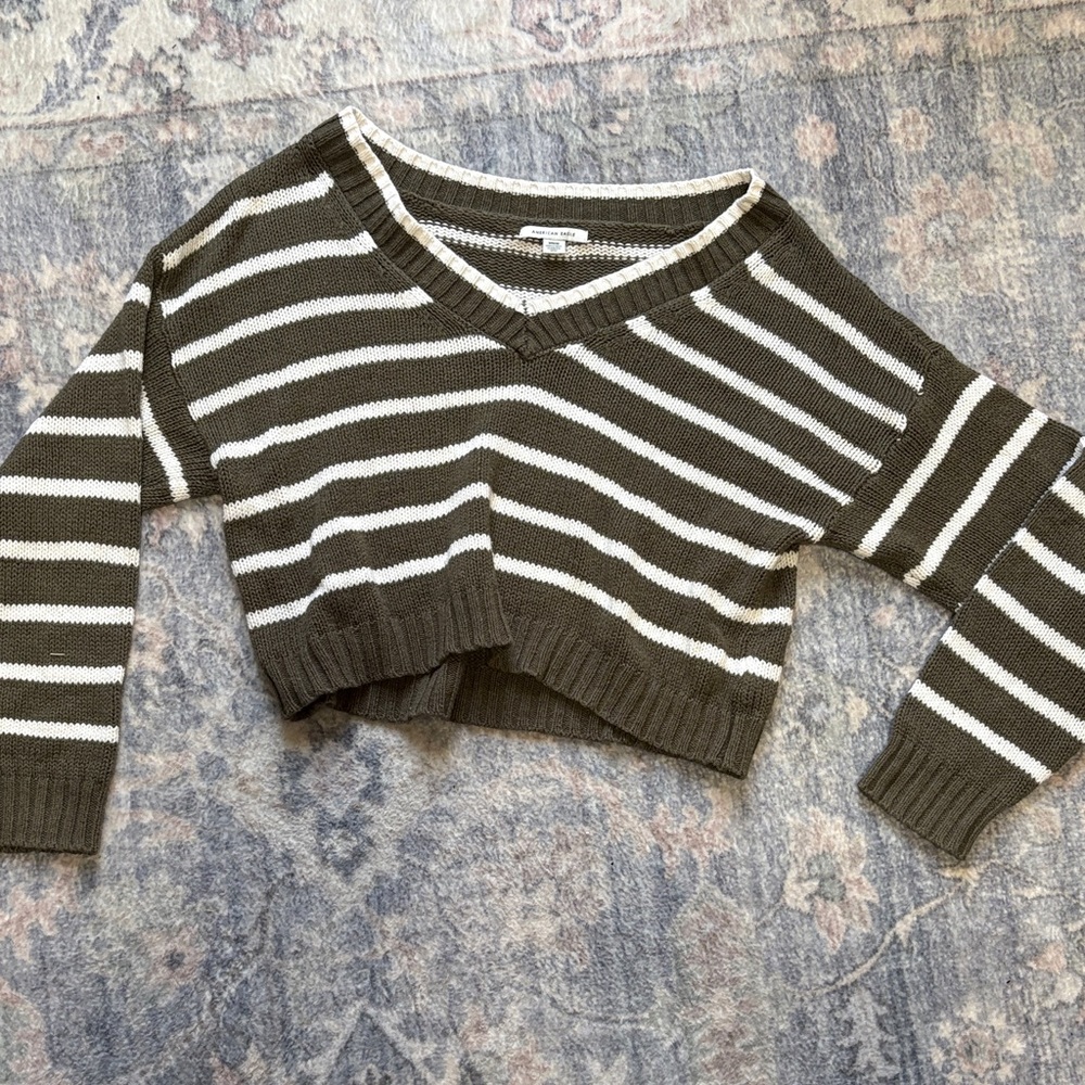 American Eagle Outfitters Olive and White V-Neck Sweater